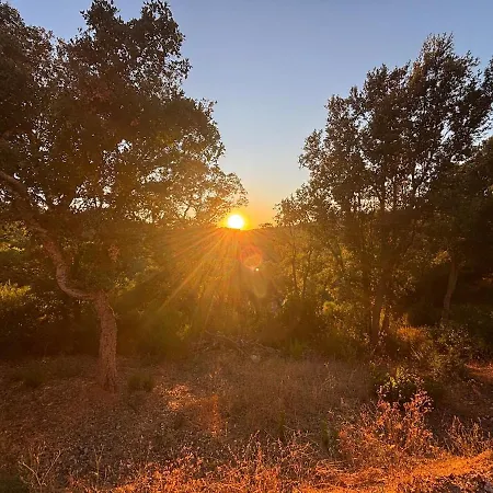 דירה Rez-de-jardin A 5 Minutes De La