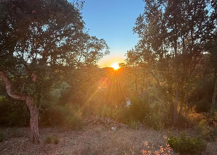 Rez-de-jardin A 5 Minutes De La דירה *