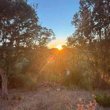 Rez-de-jardin A 5 Minutes De La Appartement *