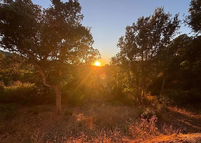 Appartement Rez-de-jardin A 5 Minutes De La