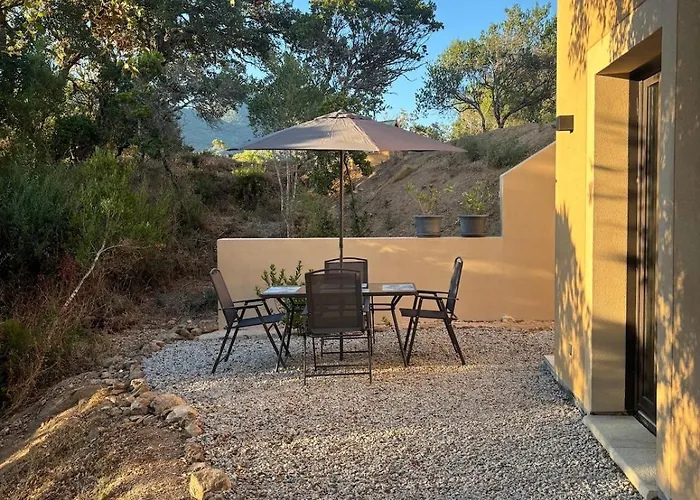 Rez-de-jardin A 5 Minutes De La Appartement